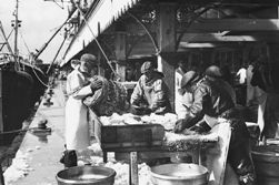 Ch6 p112 - Lumpers sorting fish at Lowestoft Fish Market 1970s